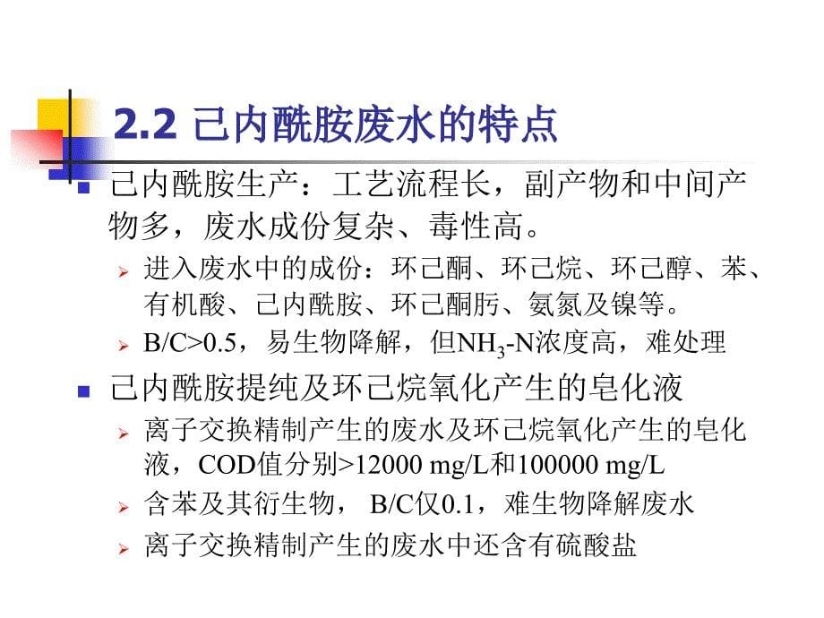 己内酰胺废水处理_第5页