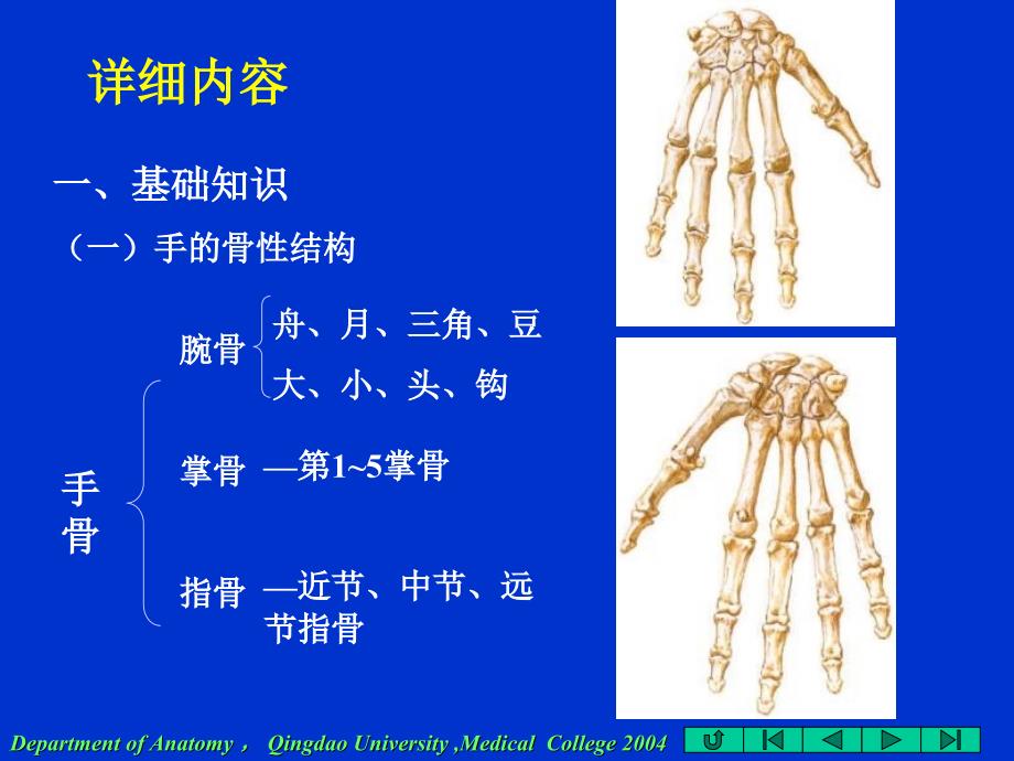 20150702手的解剖_第3页