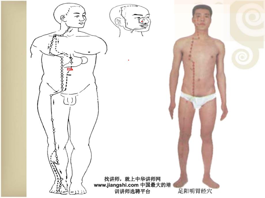 中华讲师网-郭树楹穴位按摩灸法保健操_第4页