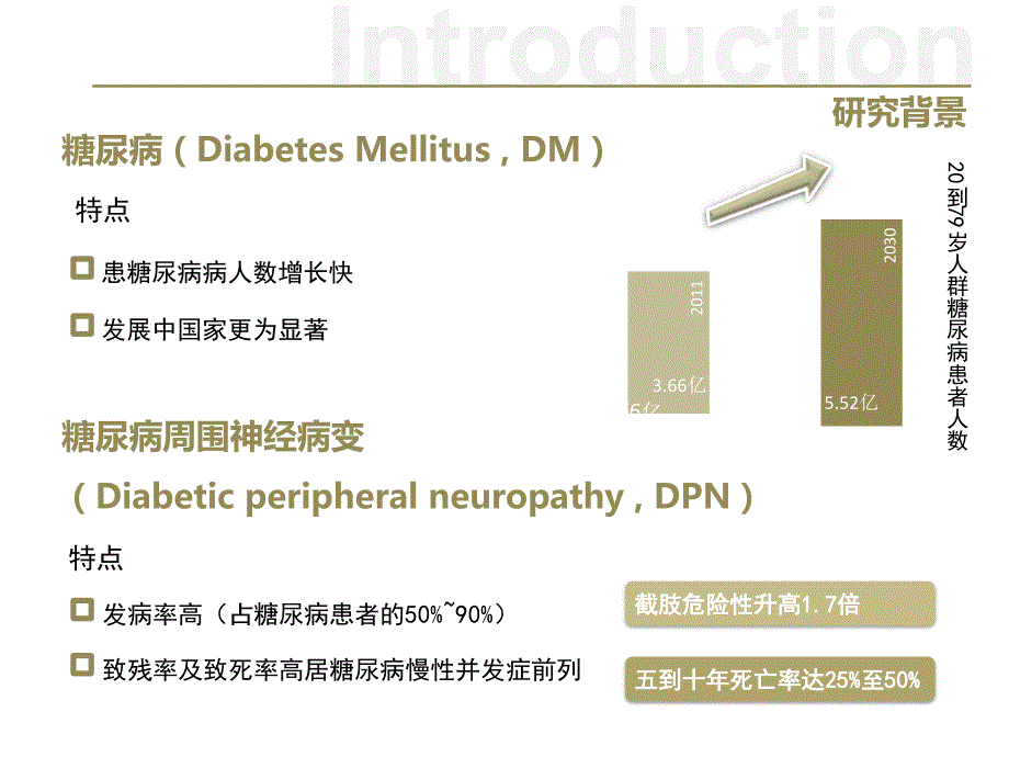 中医内外兼治法治疗DPN_第4页