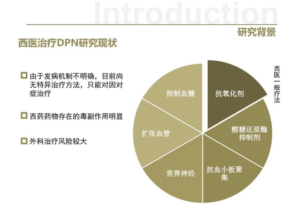 中医内外兼治法治疗DPN_第5页