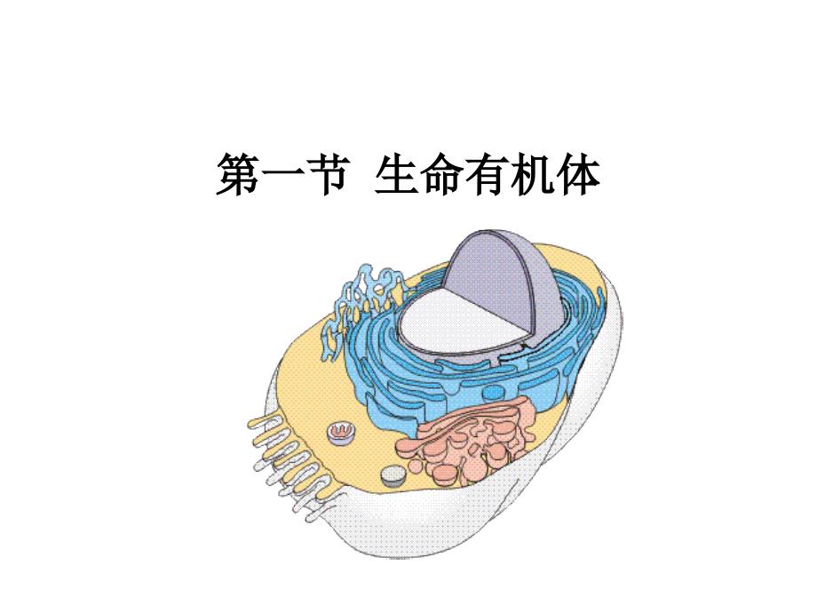 有机体染色体和基因_第3页