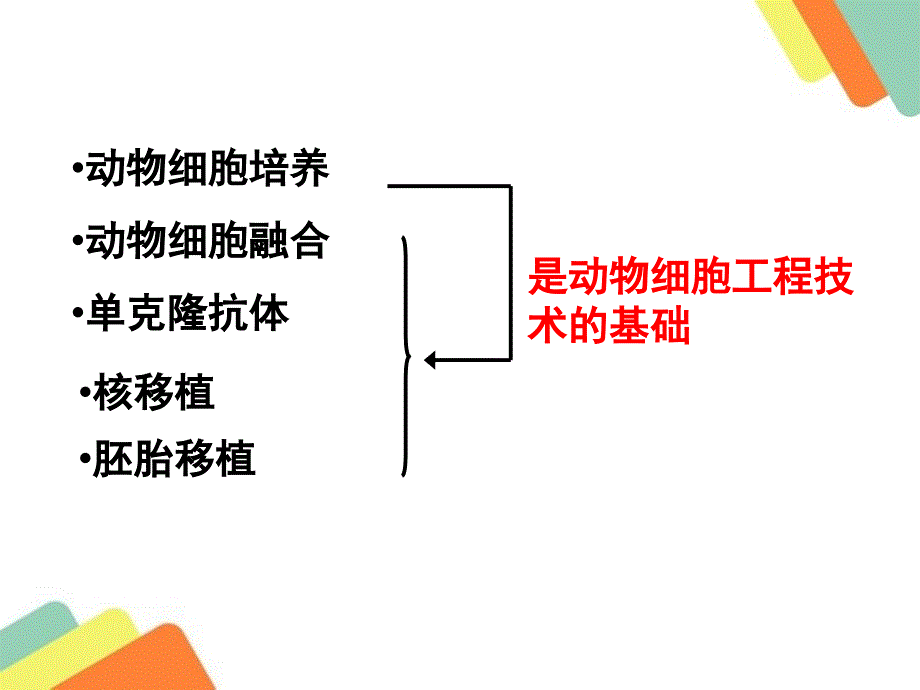 2016生物一轮复习34动物细胞工程_第2页