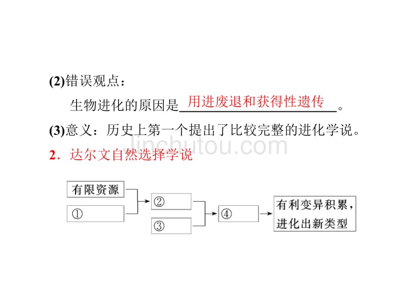 高三生物一轮现代生物进化理论_第5页