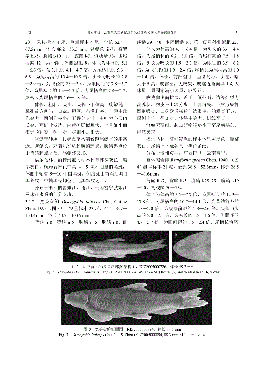 云南鱼类三新纪录及驮娘江鱼类的区系存在度分析_第3页