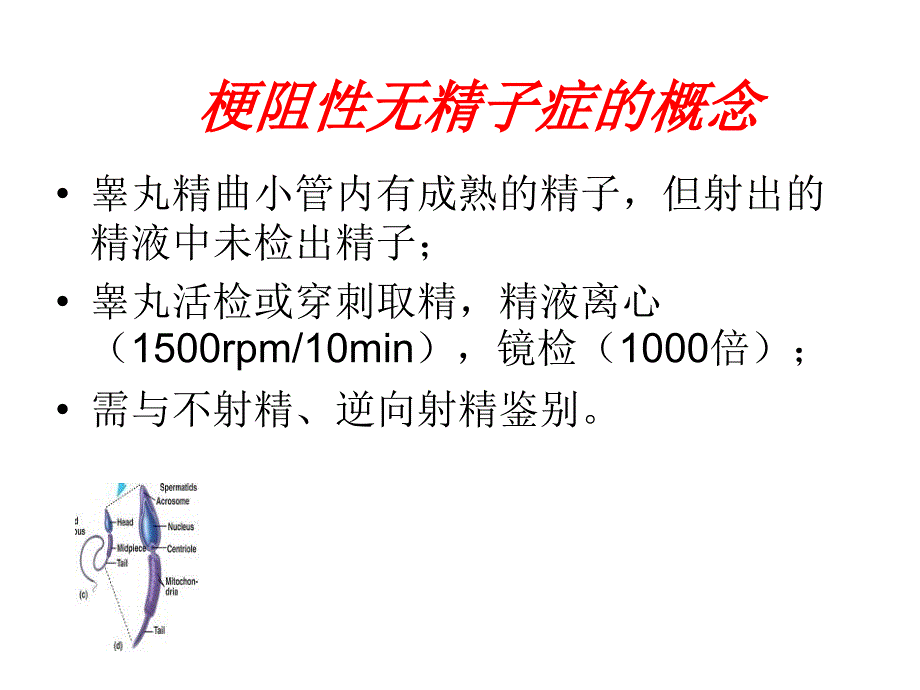 梗阻性无精子症的治疗_第2页