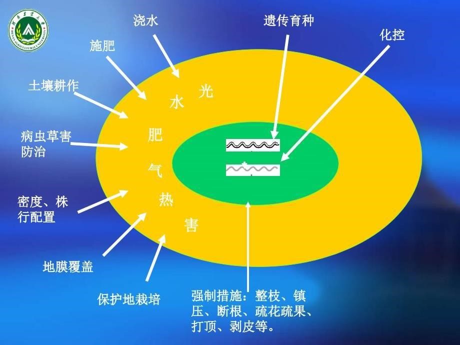 作物化学调控技术在农业生产中的应用_第5页