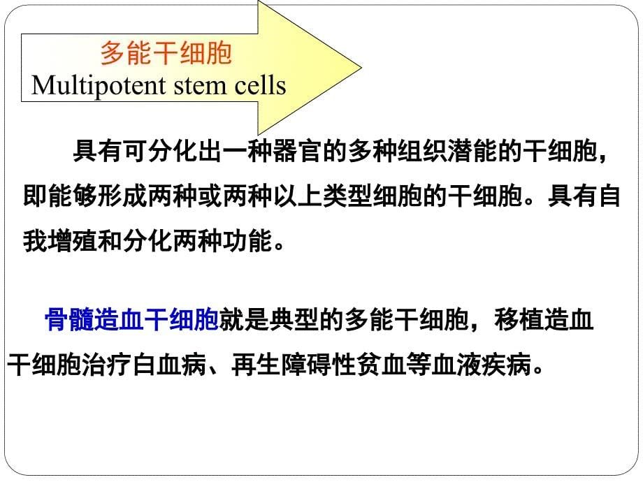 哺乳动物胚胎干细胞技术_第5页