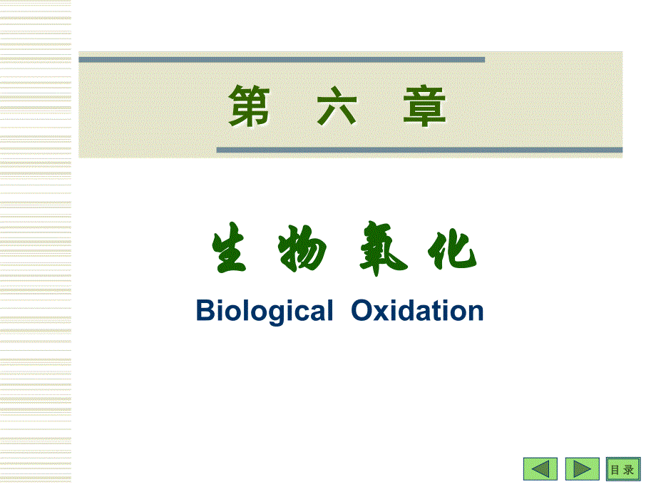 高中生物竞赛辅导—生物化学六生物氧化_第1页