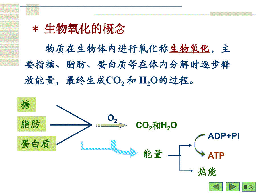 高中生物竞赛辅导—生物化学六生物氧化_第2页