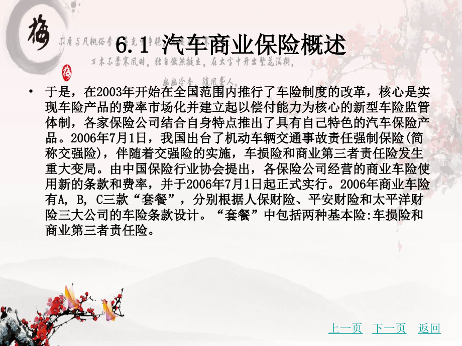 汽车保险课件模块六汽车商业保险_第3页