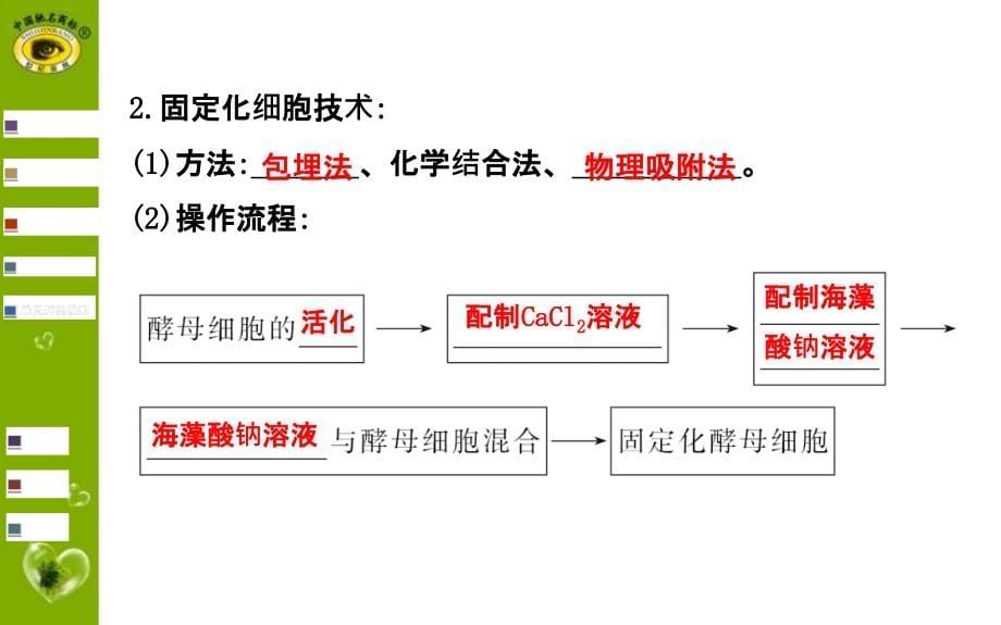 高考一轮生物复习选修1-3_第5页