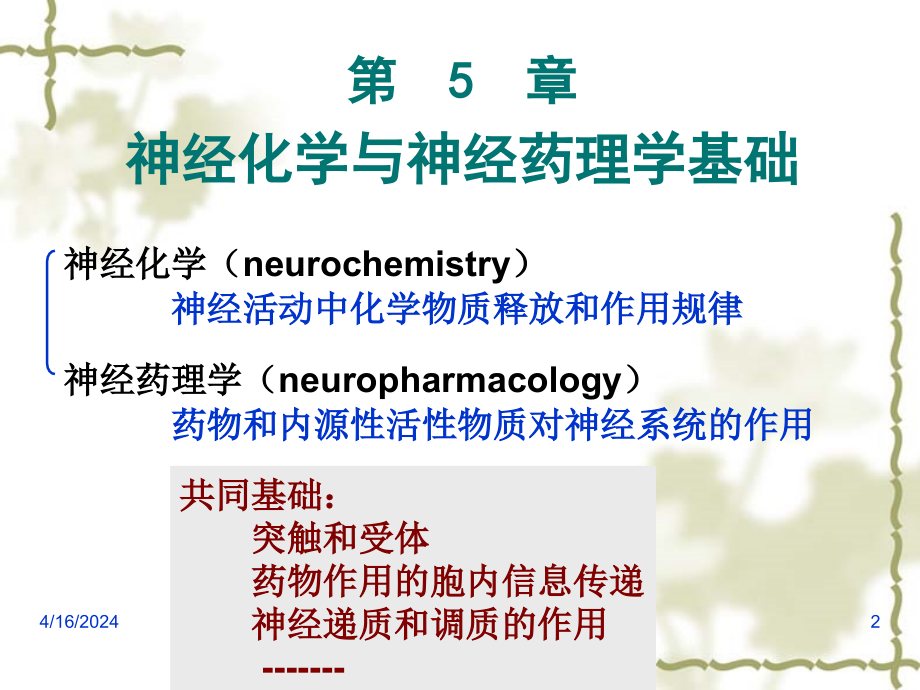 神经化学和神经药理学基础一_第2页