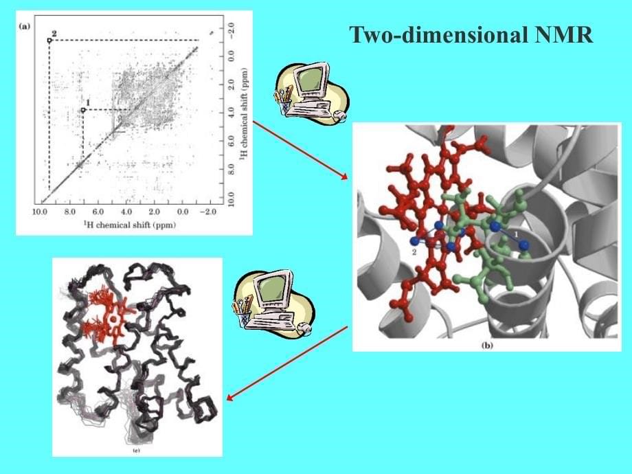蛋白质的三维结构一_第5页
