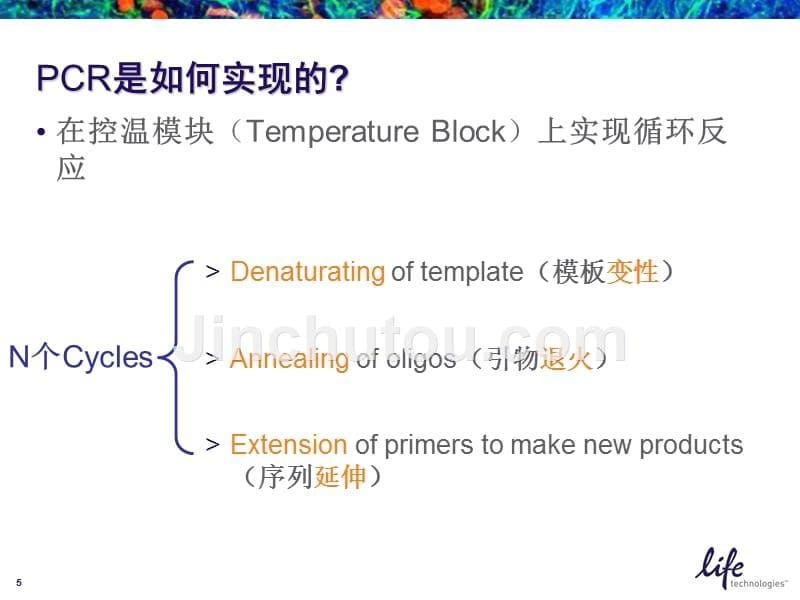 SDS实时荧光定量PCR操作指南_第5页