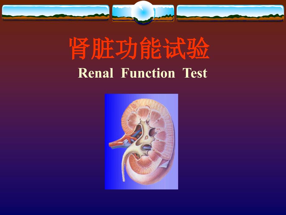 化诊-04-肾脏功能试验_第1页