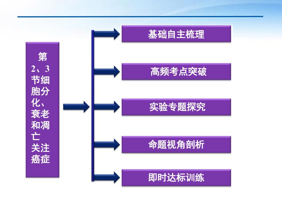 江苏专用2012高考生物总复习细胞分化衰老和凋亡关注癌症课件苏教版必修1_第2页