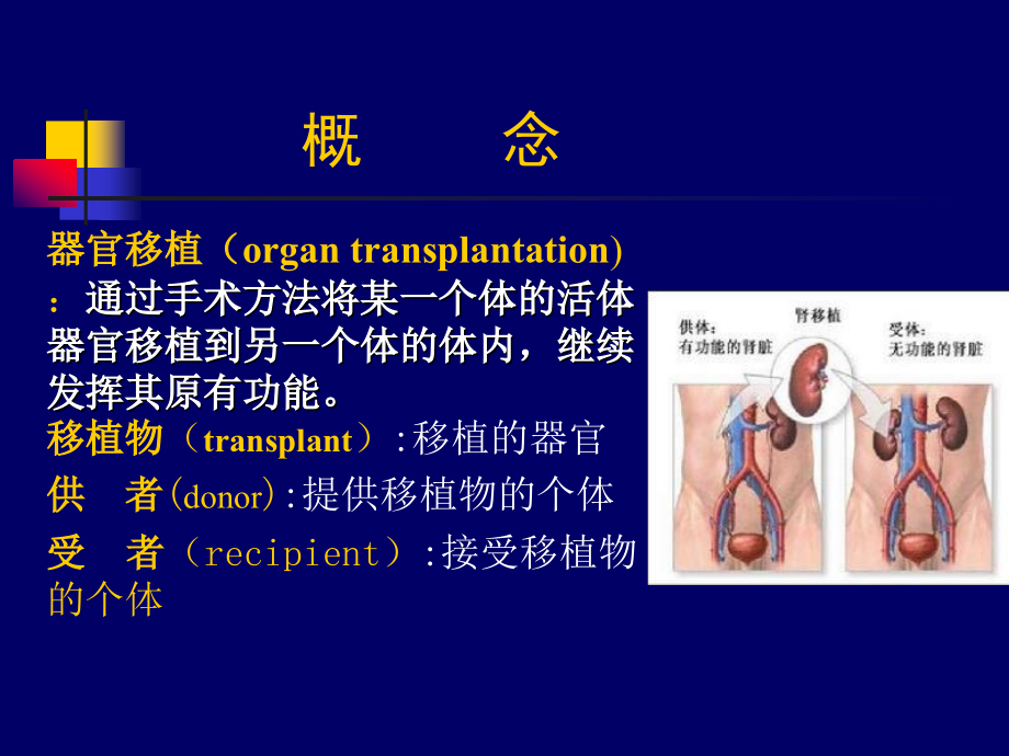 器官移植病人的护理--王爱华_第3页