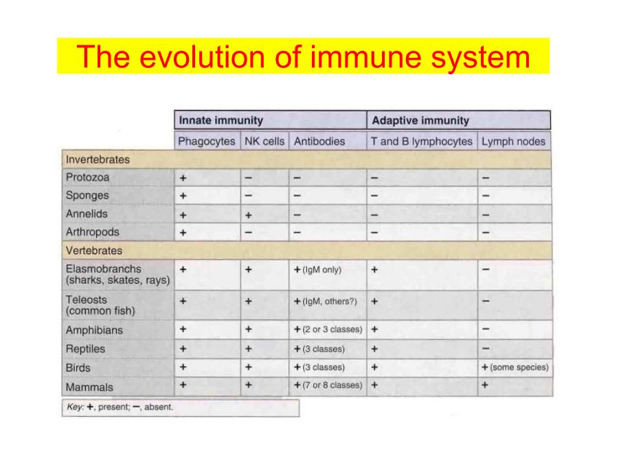 博士生课程21-固有免疫系统_第2页