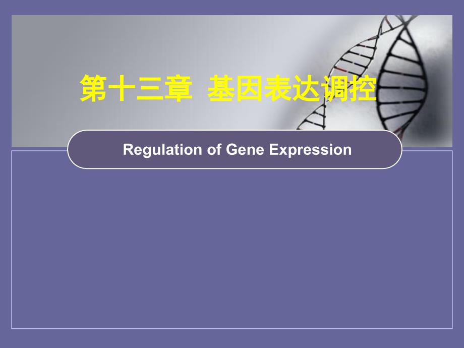 大学生物遗传学：第十三章基因表达调控3_第1页