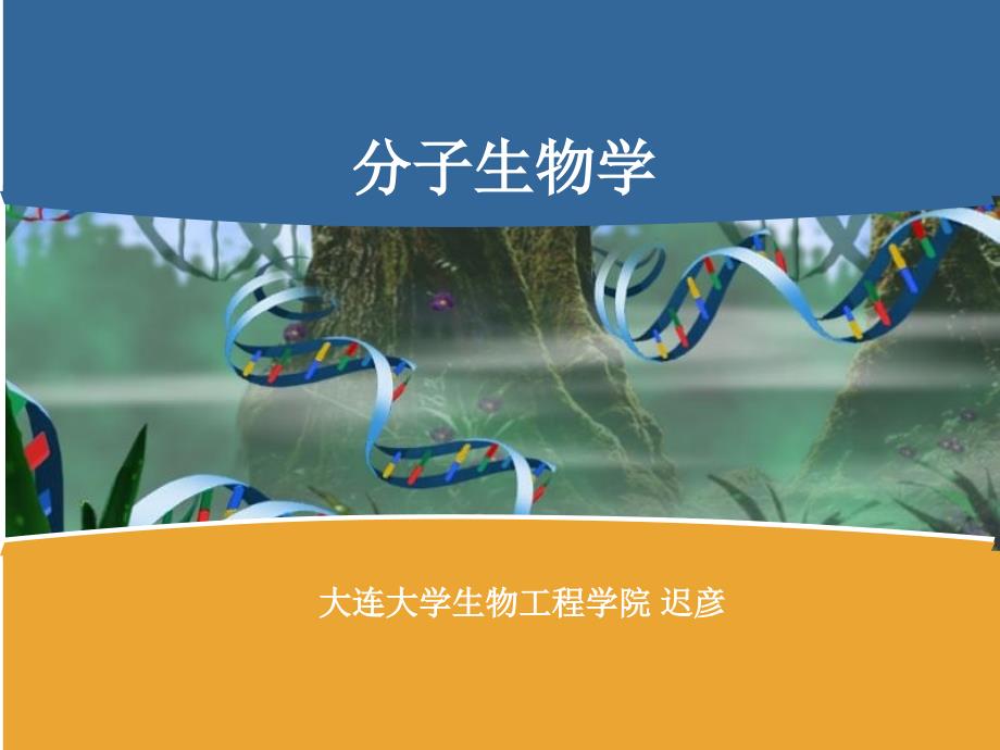 蛋白质合成2014—20151_第1页