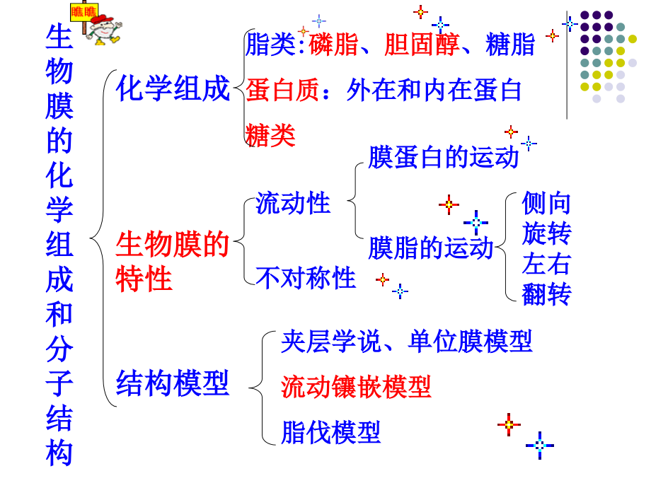 细胞生物学细胞膜大分子运输及细胞表面_第2页