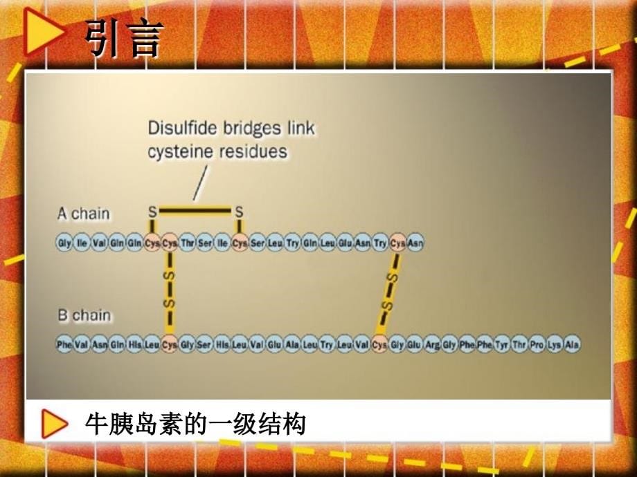 蛋白质和多肽的氨基酸序列分析_第5页