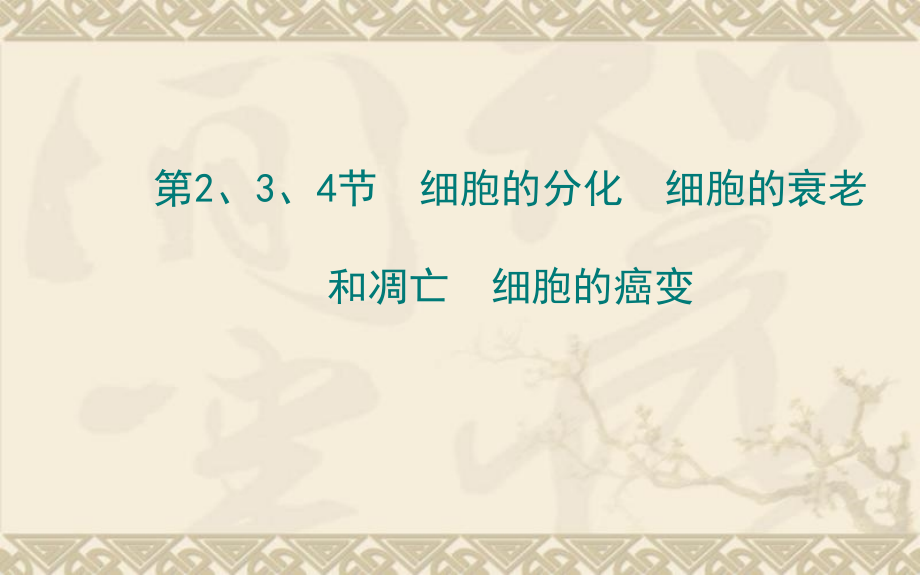 2014届高三生物二轮收尾细致复习细胞的分化细胞的衰老和凋亡细胞的癌变_第1页