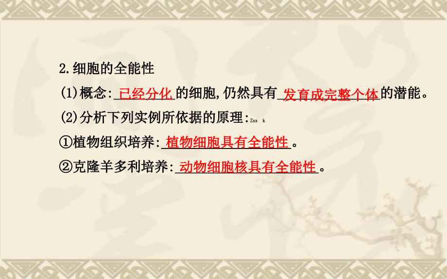 2014届高三生物二轮收尾细致复习细胞的分化细胞的衰老和凋亡细胞的癌变_第4页