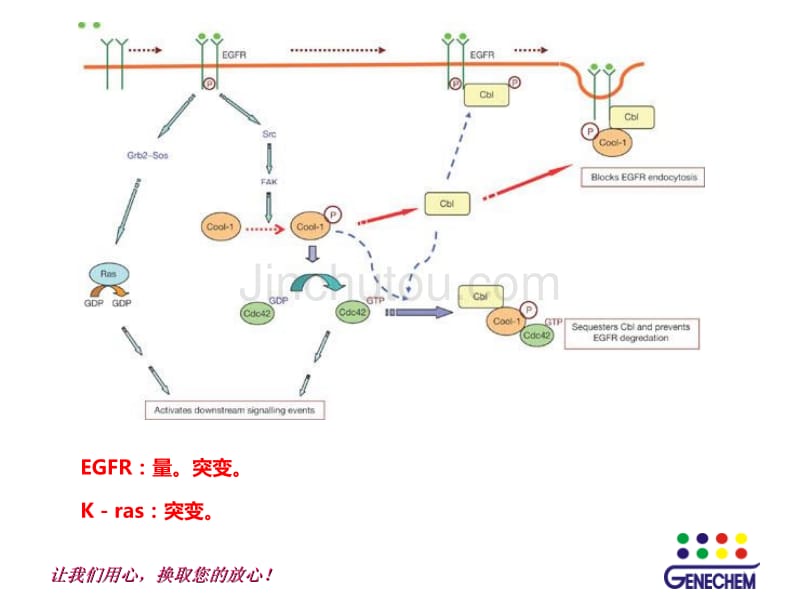 转化医学-功能基因研究2_第3页