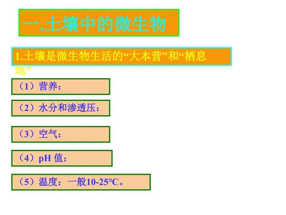 微生物遗传—变异物质基础2_第5页