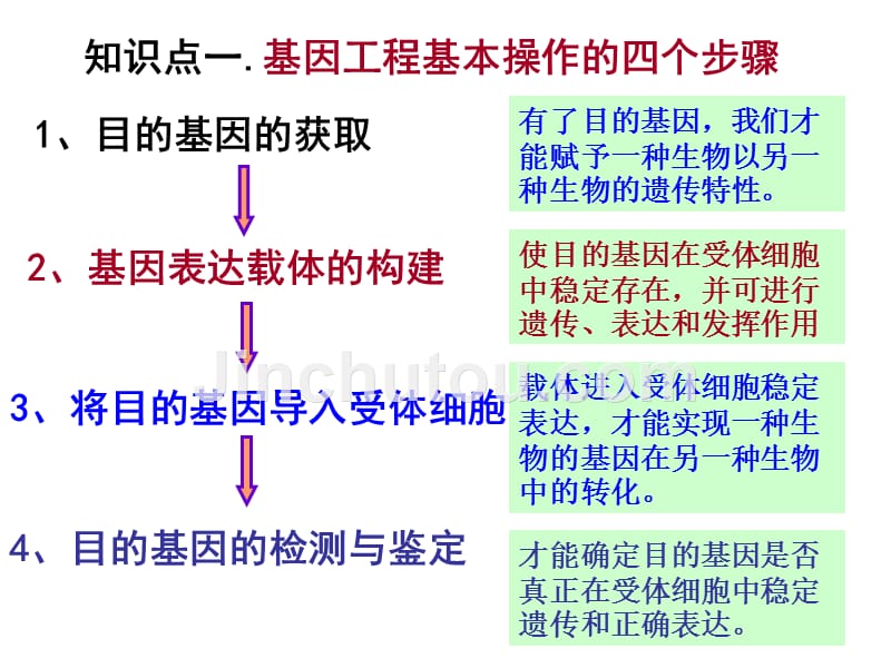 基因工程的基本操作程序修改版_第2页