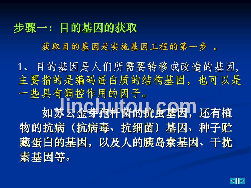 基因工程的基本操作程序修改版_第3页