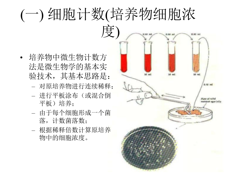 细菌的遗传分析2014打印_第3页