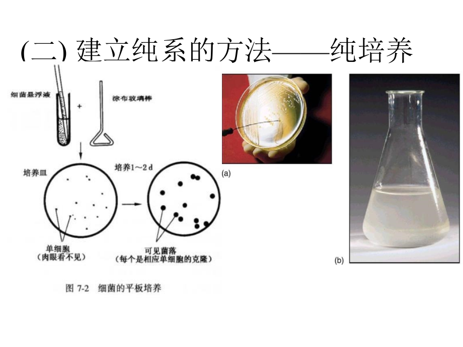 细菌的遗传分析2014打印_第4页