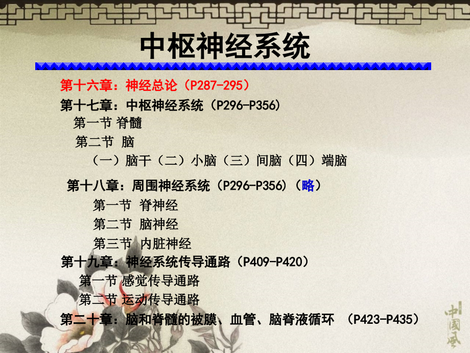 中枢神经系统脊髓脑干_第1页
