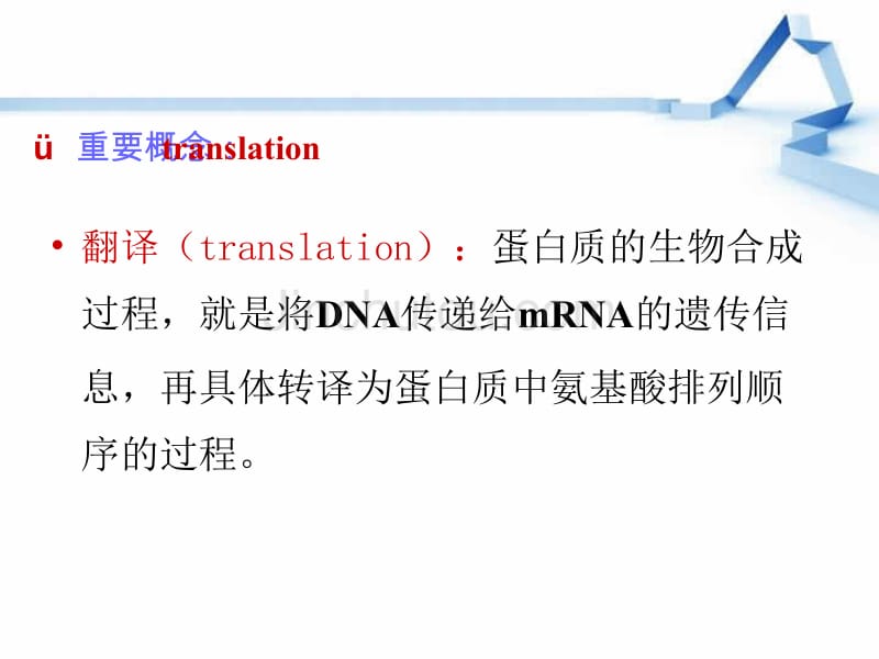 蛋白质的生物合成（翻译Translation_第2页