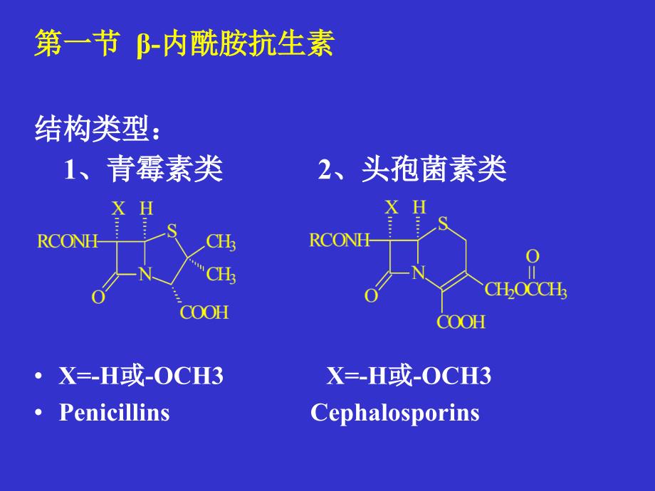 2013执业兽医资格考试药理学抗生素_第3页