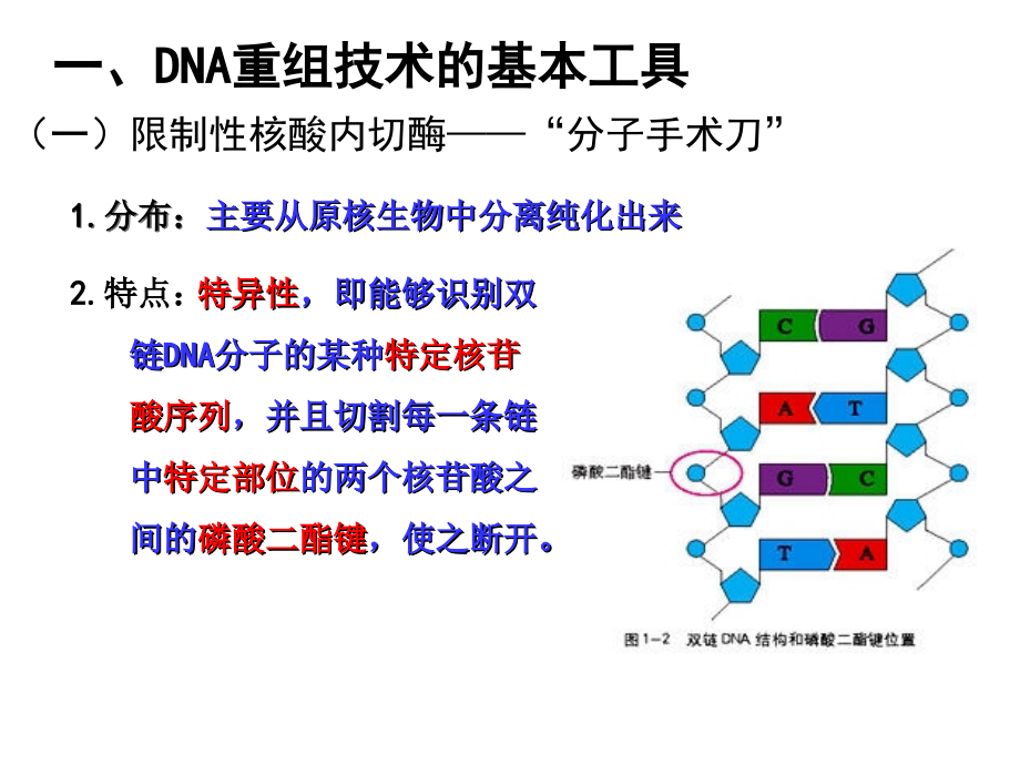 人教版生物选修三全高考复习用_第2页