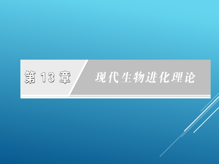 人教版2017年高中生物现代生物进化理论课件_第2页