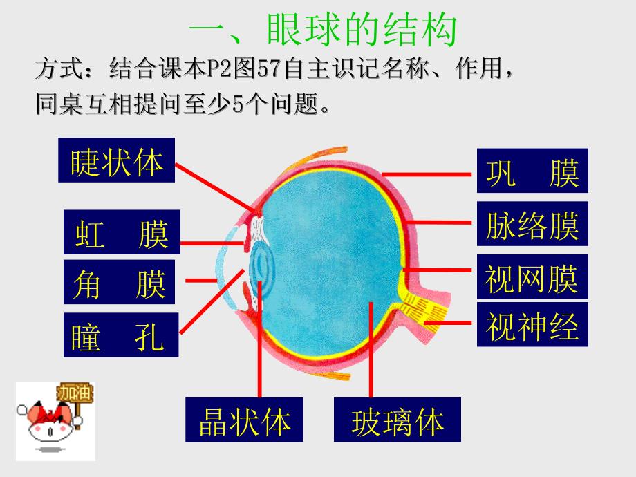 人体对外界环境的感知复习_第3页