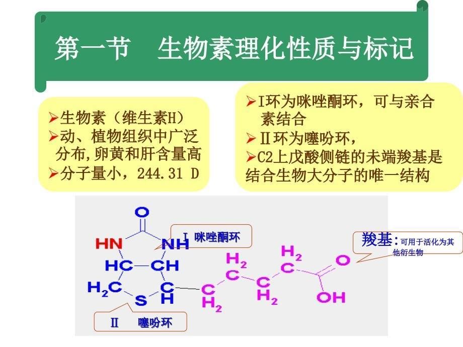 生物素亲合素放大技术_第5页