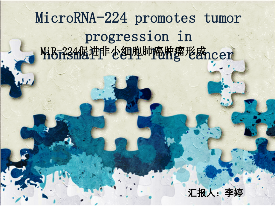 科研英文文献汇报英文--MicroRNA_第1页