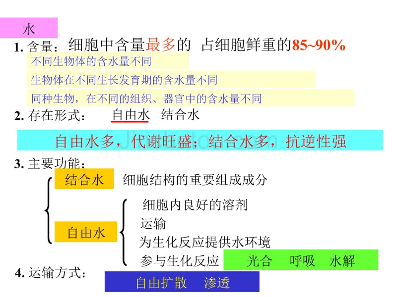 专题一生命的物质基础和结构基础二轮复习13中_第5页