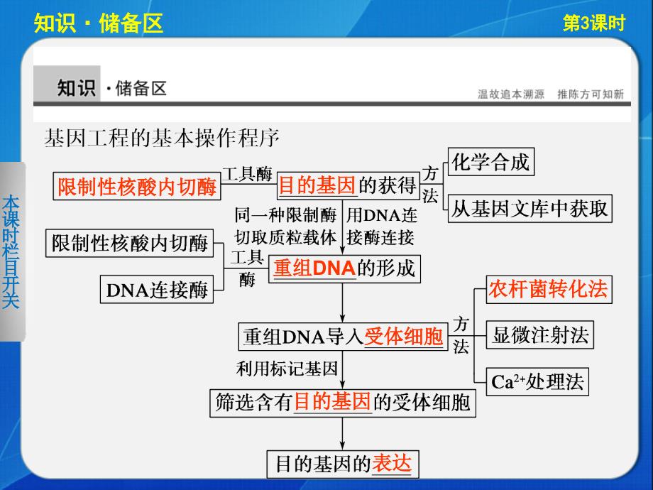 1.3基因工程的应用(人教版选修3)_第2页