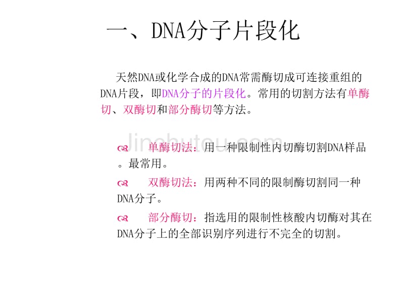 DNA重组1-目的基因的获得_第3页