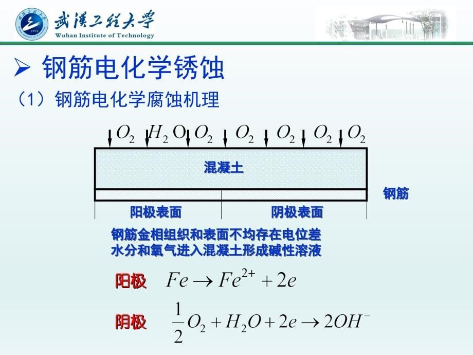 建筑结构检测鉴定与加固建筑结构损伤机理与危害_第5页