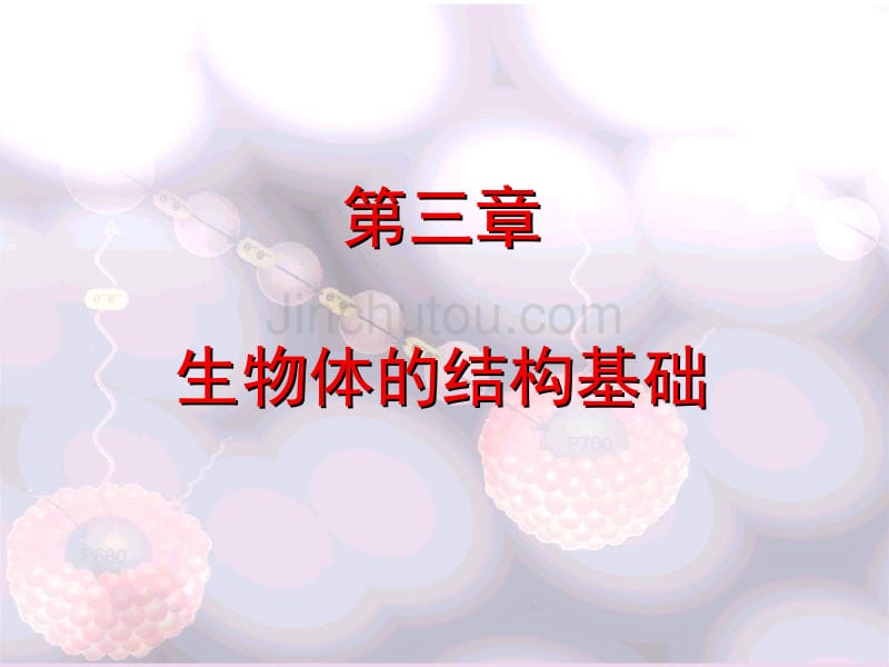 上海交通大学普通生物学课件细胞的基本形态与功能_第1页