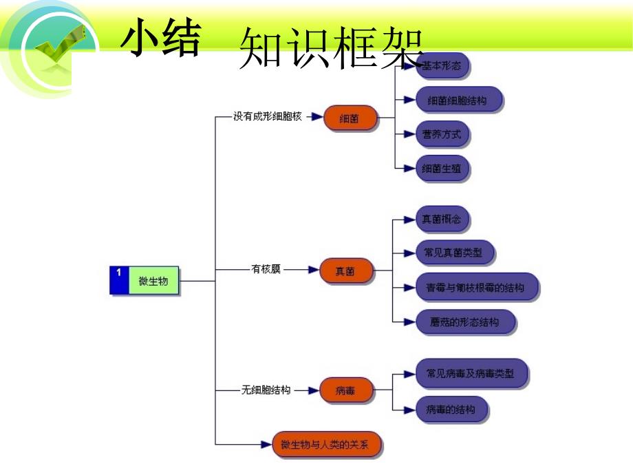 微生物生命的起源和进化_第4页