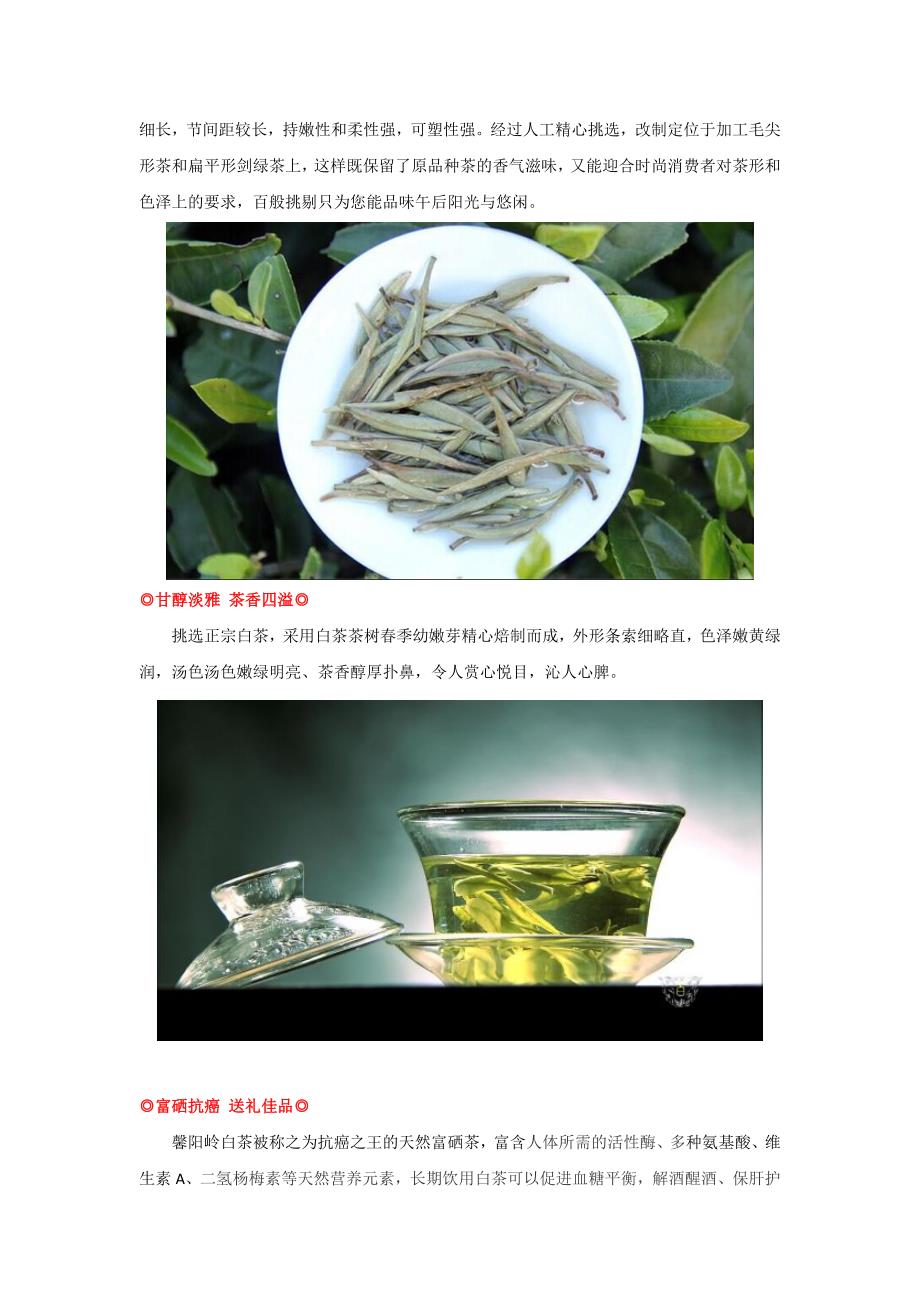 集食惠产品推荐：馨阳岭吉品白茶铁罐装50g_第3页